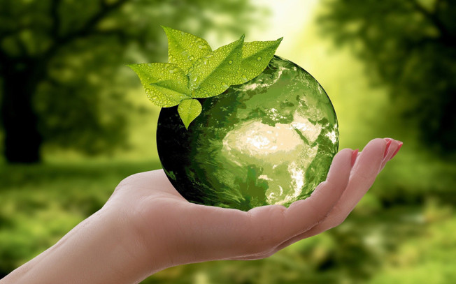 Triển khai công tác trồng rừng và trồng cây xanh giai đoạn 2021 - 2025 trên địa bàn thành phố Buôn Ma Thuột.